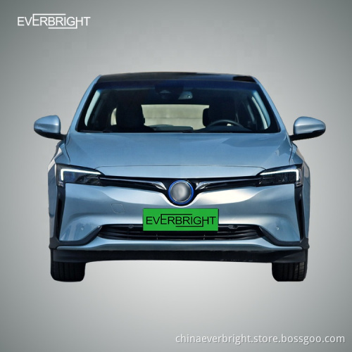 Cina SUV Sport Electric Cars realizzate in Cina